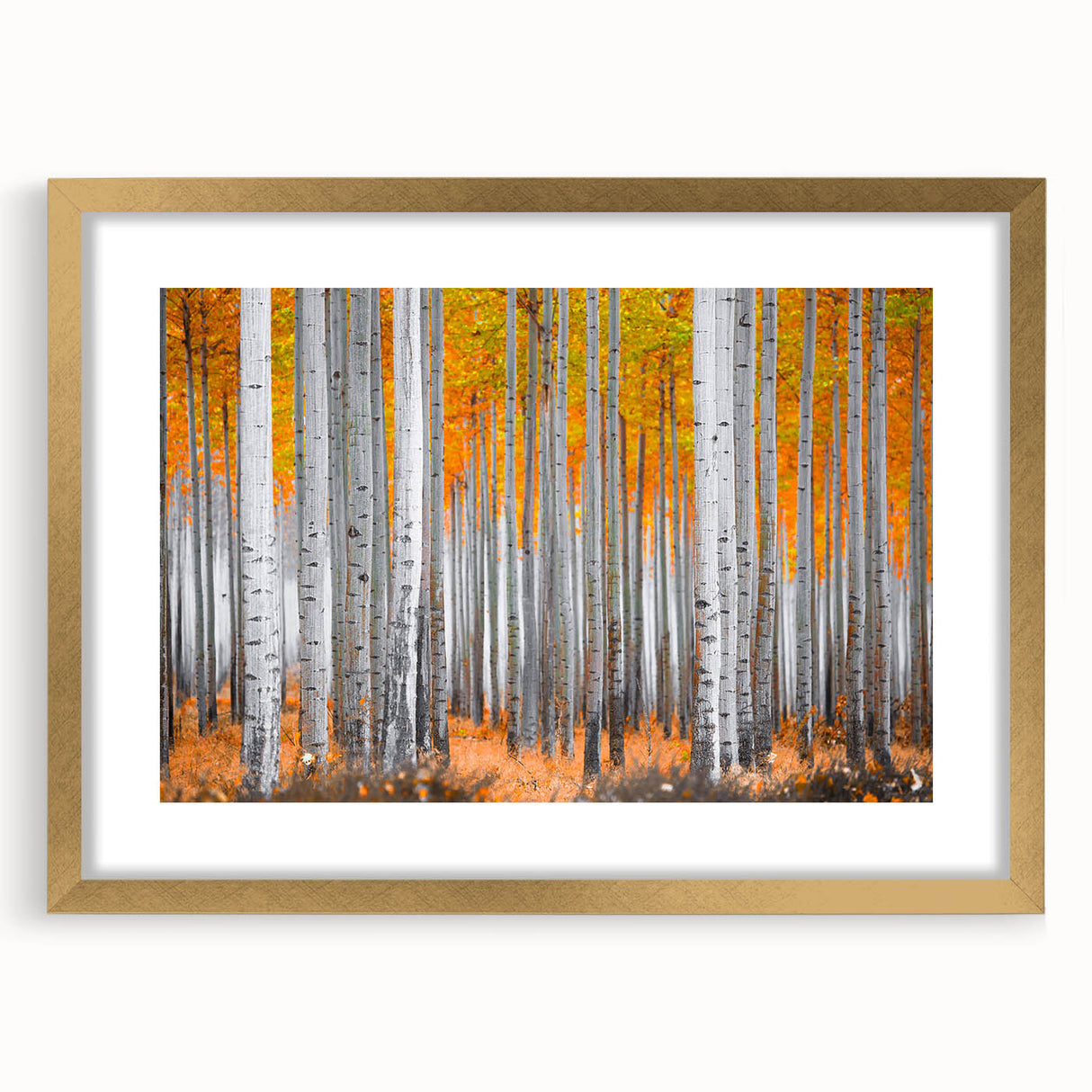 Extra large abstract art print of Aspen, Colorado scenery in textured gold frame, ideal for living room decor.