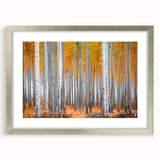 Textured art depicting abstract aspen trees in muted earth tones on a framed silver mat, ideal for bedroom art.