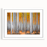 Abstract art print featuring vibrant autumn colors in an Aspen forest, framed in white, suitable for dining room decor.