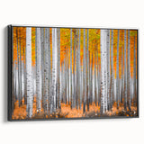 Black and white framed canvas depicting Aspen, Colorado landscape, ideal for bedroom wall art.