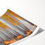 Extra large wall art featuring line art flowers in neutral tones on a rolled canvas, suitable for large living room decor.