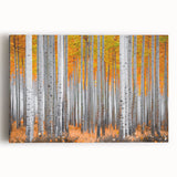 Black and white photograph of Aspen trees on stretched canvas, ideal for kitchen wall art.