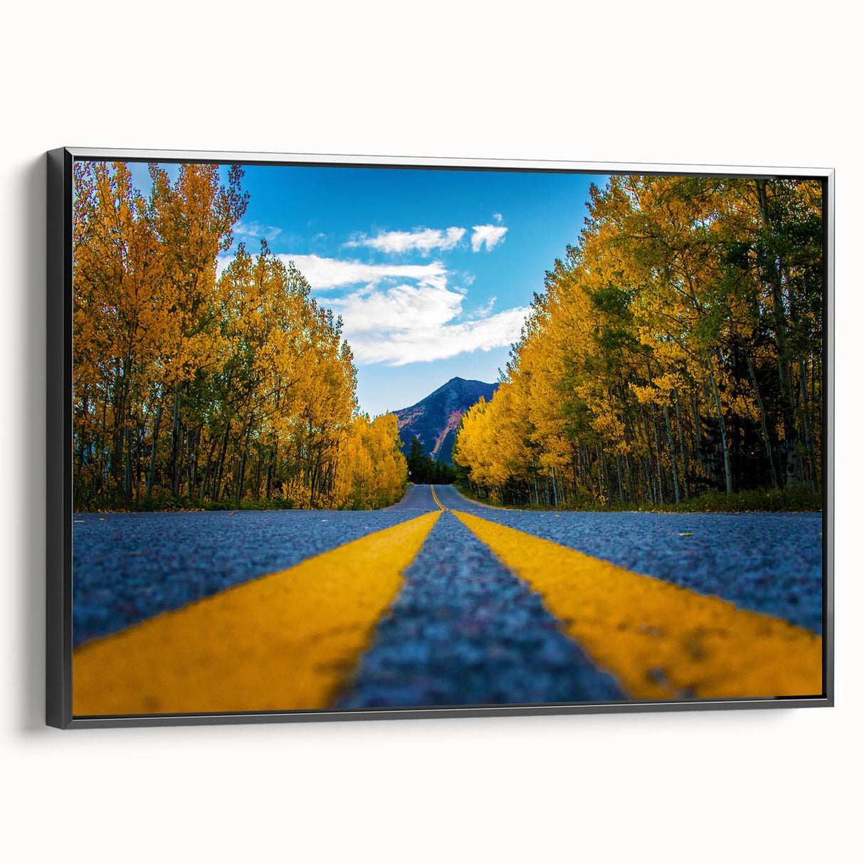 Black and white framed canvas of Denver landscape, ideal for bedroom wall art with a vintage poster style.