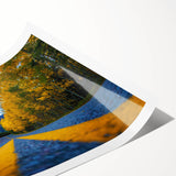 Extra large wall art featuring line art flowers in monochrome, ideal for large living room decor, rolled print format.