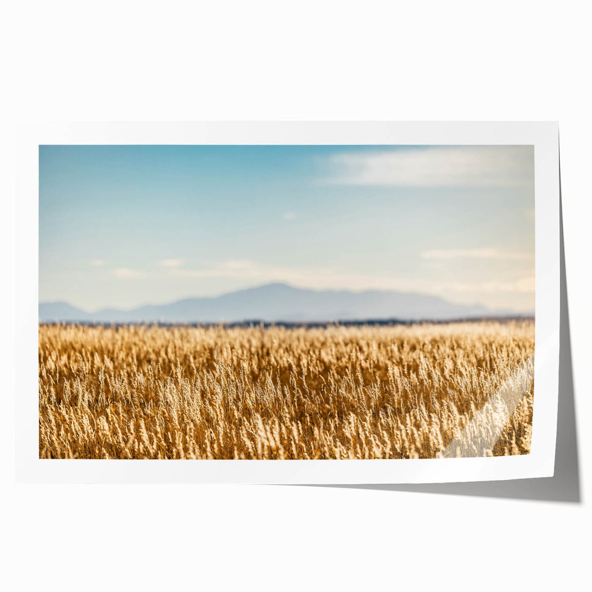Rolled print of Pikes Peak with vibrant green and blue tones, ideal for art wall dining room.