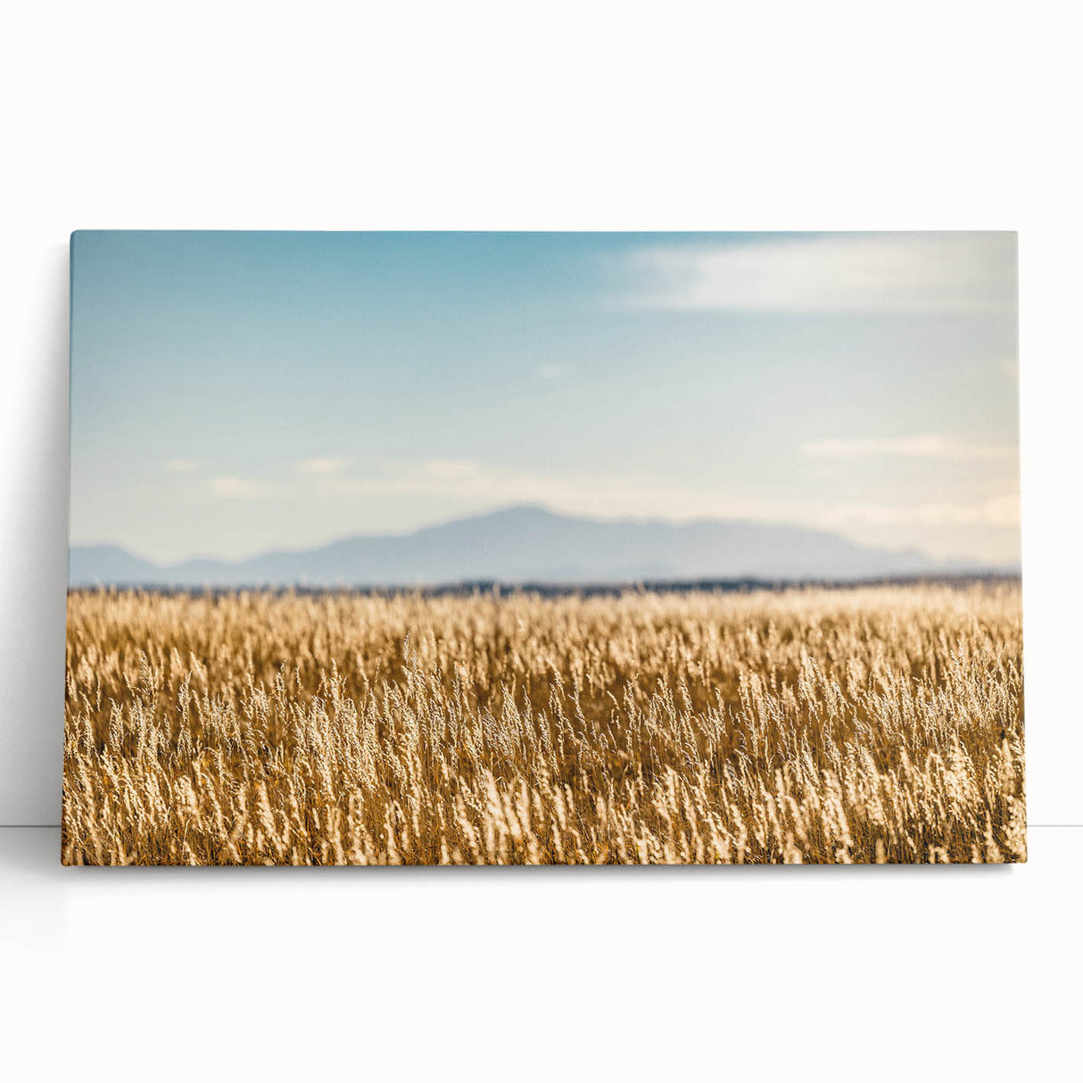 Black and white photograph of Pikes Peak on a stretched canvas, ideal for kitchen wall art.
