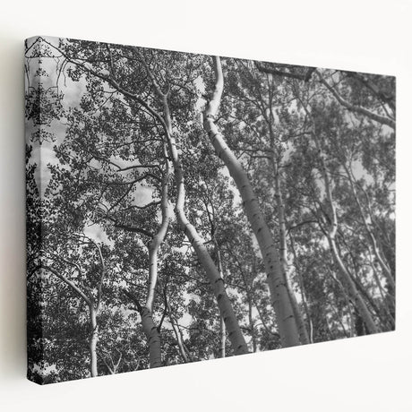 Large art canvas featuring a serene Telluride, Colorado landscape in muted earth tones, ideal for kitchen wall art.