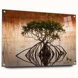 Acrylic print of a serene Everglades landscape in muted greens and blues, ideal for bedroom or dining room decor.