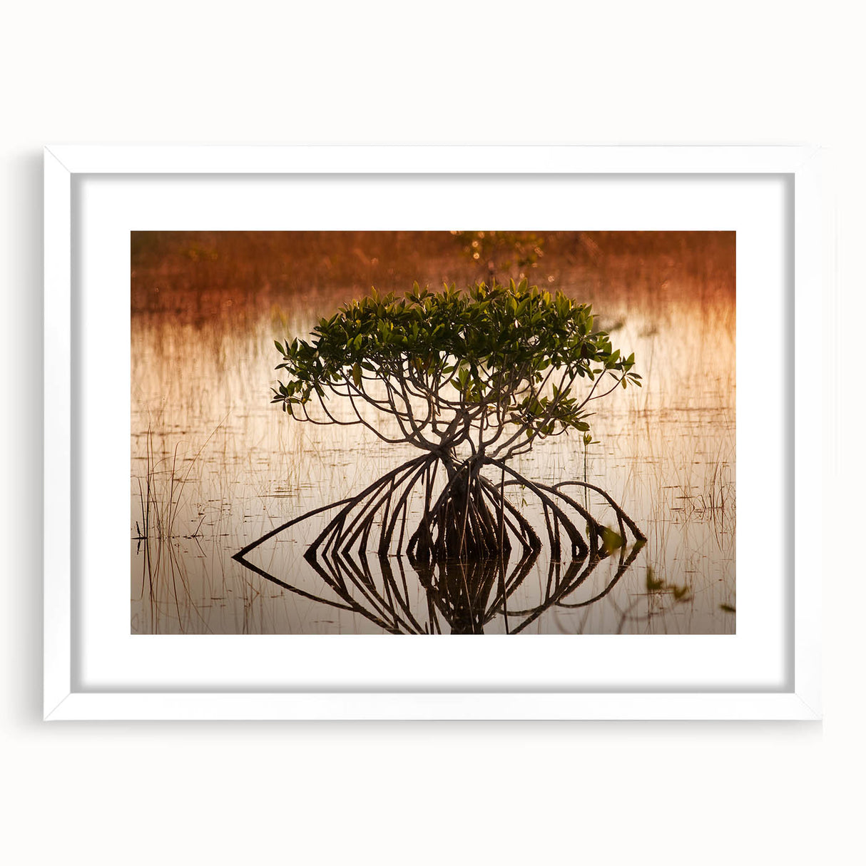 Abstract art print of the Everglades with vibrant green and blue tones, in a white frame, ideal for dining room decor.