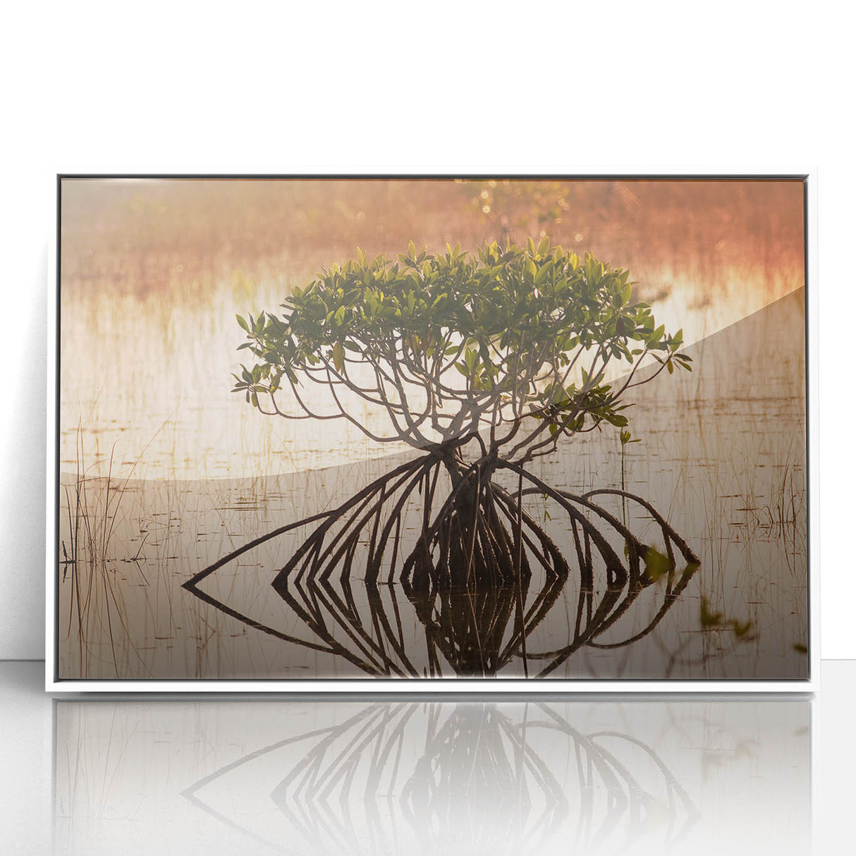 Acrylic print of the Everglades with lush greenery and water, in art deco style, suitable for modern nursery decor.