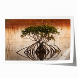 Extra large rolled print of Everglades scenery with lush greenery and water, ideal for art wall dining room.