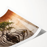 Extra large wall art of line art flowers in black on white, rolled print, ideal for large living room decor.