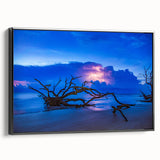Black and white framed canvas of Savannah landscape, ideal for bedroom wall art in a vintage poster style.