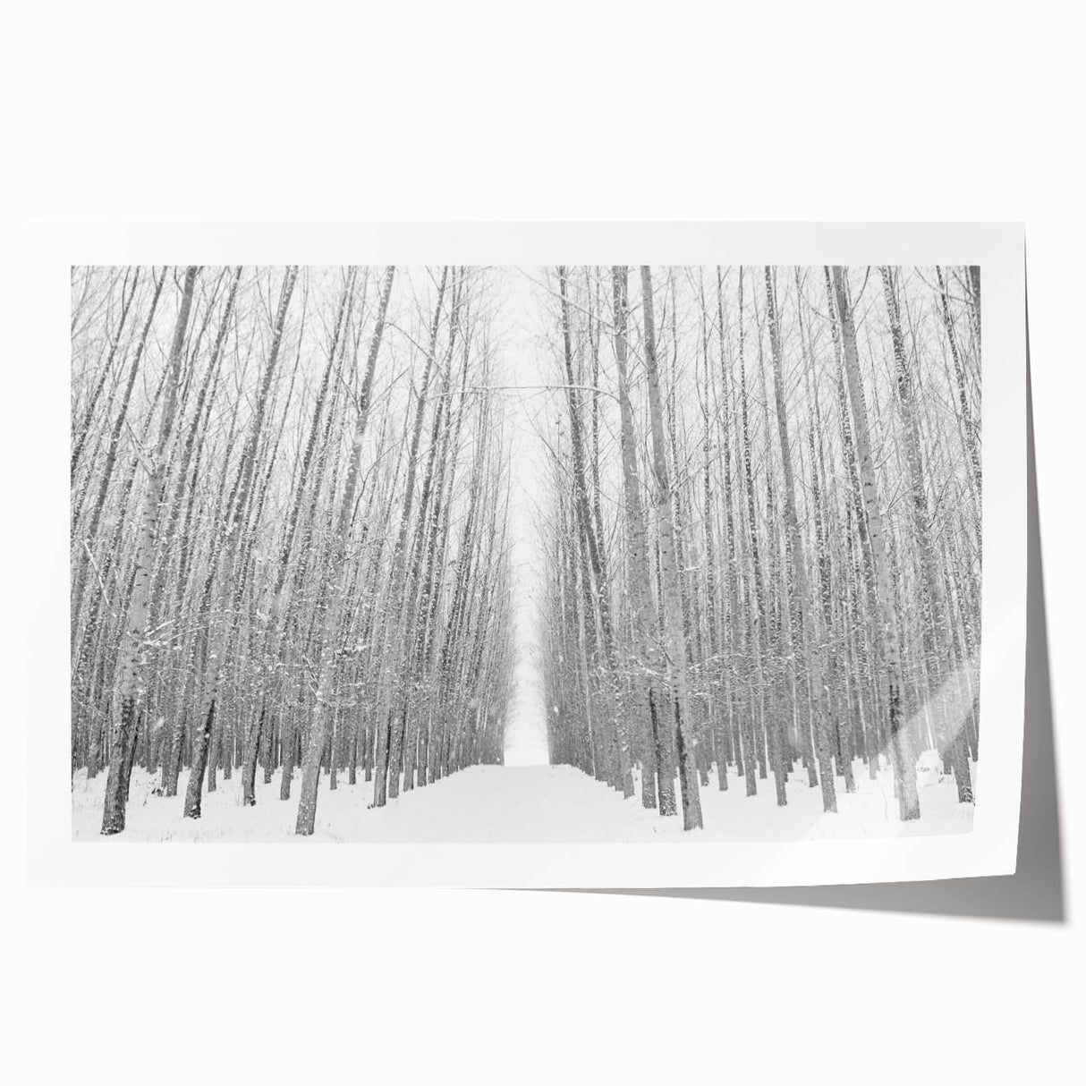 Extra large rolled print of Idaho scenery with vibrant green and blue tones, ideal for art wall dining room.