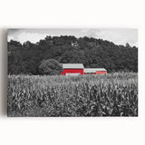 Black and white photo of Iowa scenery on large stretched canvas, suitable for kitchen art.