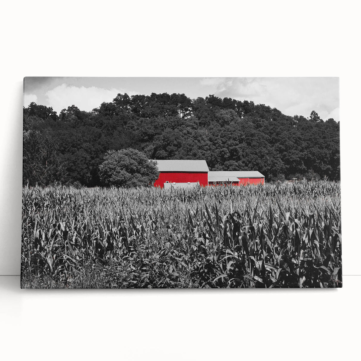 Black and white stretched canvas of a serene Iowa landscape, ideal for kitchen wall art or bedroom ambiance.