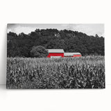 Black and white stretched canvas of a serene Iowa landscape, ideal for kitchen wall art or bedroom ambiance.