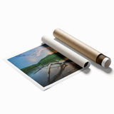 Extra large rolled print of Kentucky scenery with vibrant green and floral elements, ideal for classy bathroom wall art.