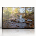 Acadia National Park scenery on large acrylic print with black frame, featuring mid-century modernist style.
