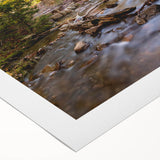 Art deco poster featuring a serene Acadia landscape in muted earth tones on rolled canvas, ideal for dining room decor.