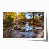 Rolled print of Acadia, Maine scenery with vibrant green and blue tones, ideal for art wall dining room.