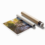 Extra large rolled print of Acadia, Maine scenery in muted earth tones, ideal for classy bathroom wall art.