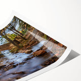 Extra large rolled print of line art flowers in muted earth tones, ideal for large living room wall art.