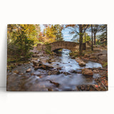 Black and white photograph of Acadia National Park on stretched canvas, ideal for kitchen wall art.
