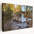 Acadia National Park landscape on stretched canvas, featuring lush greenery and serene water, ideal for kitchen wall art.