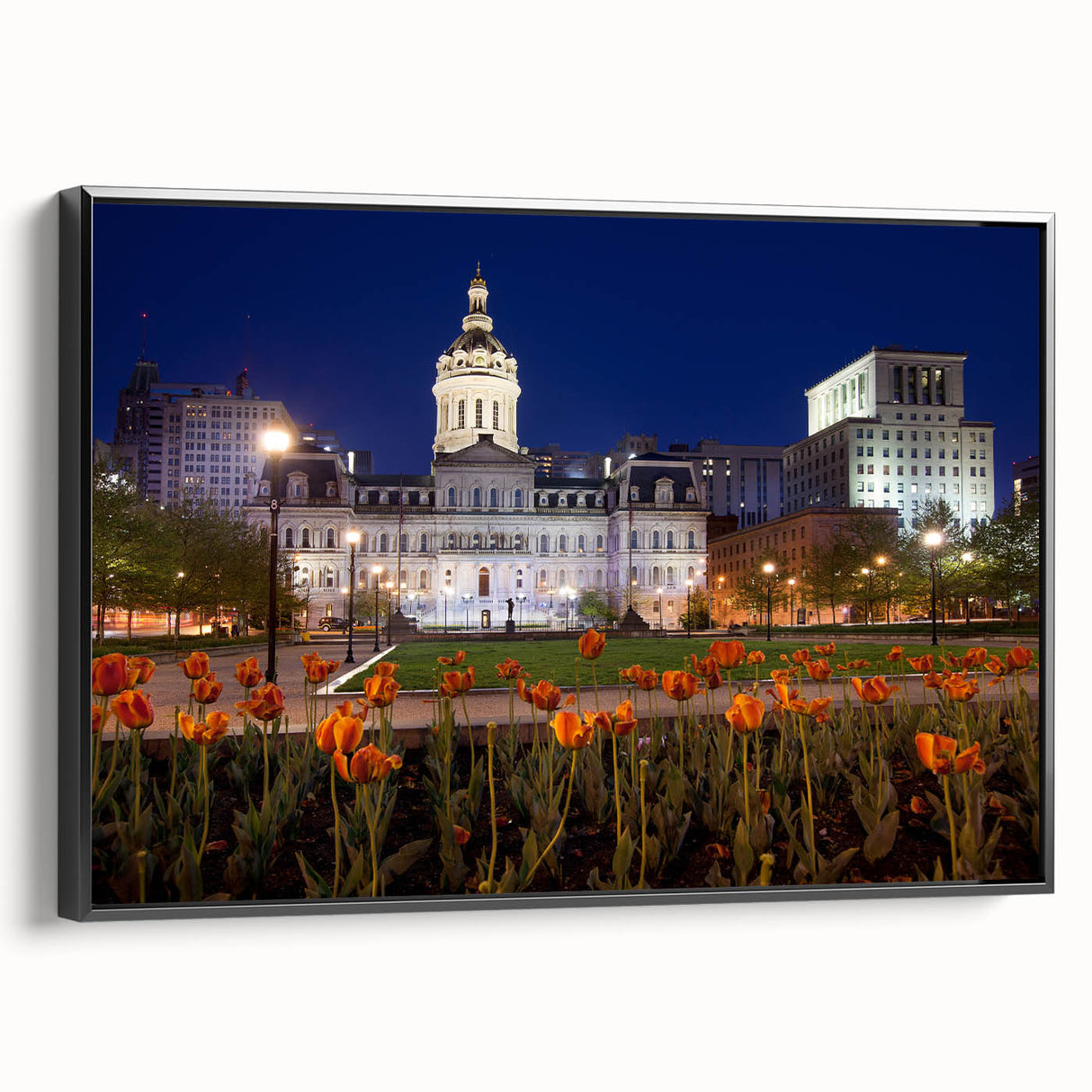 Black and white framed canvas of Baltimore landscape, ideal for bedroom wall decor.