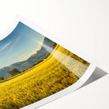 Extra large wall art featuring line art flowers on a rolled print, in muted earth tones, ideal for large living room decor.