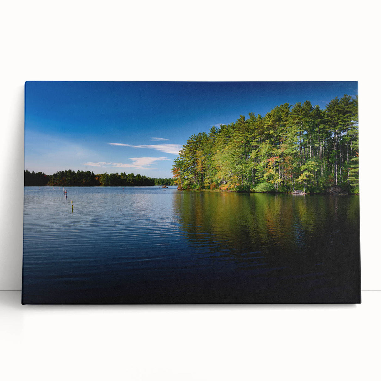 Black and white stretched canvas of New Hampshire scenery, ideal for kitchen wall art or bedroom ambiance.