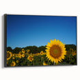 Black and white vintage poster art of Raleigh landscape on framed canvas, ideal for bedroom decor.