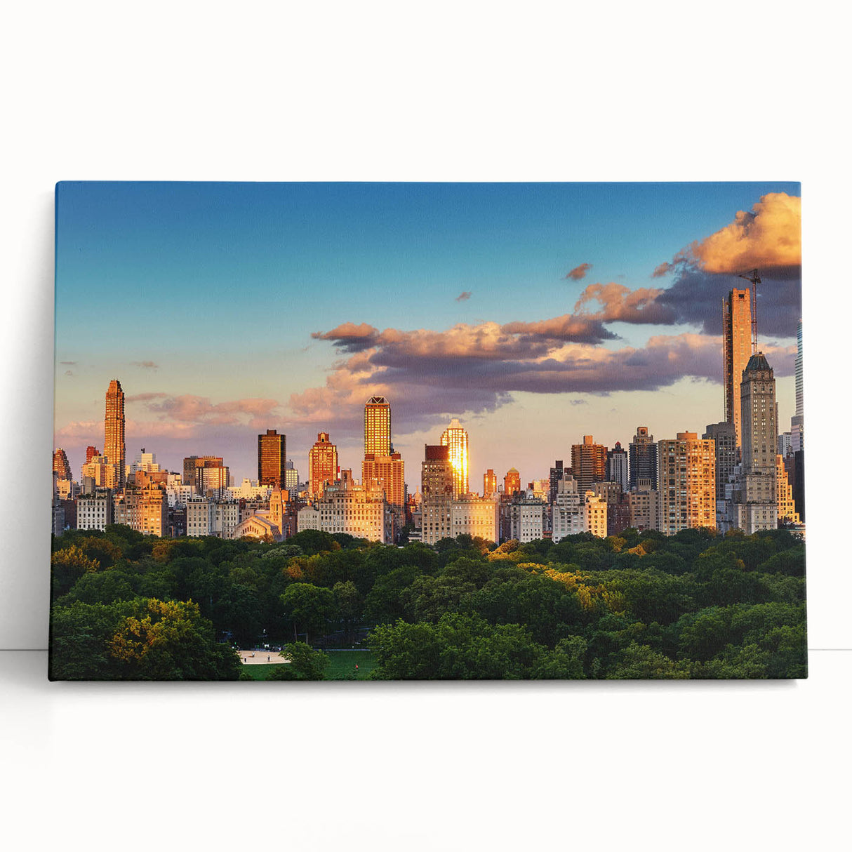 Black and white stretched canvas of Central Park, ideal for kitchen wall art or bedroom ambiance.