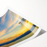 Extra large wall art of line art flowers in black and white, rolled print format, ideal for large living room wall decor.