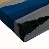 Large art depicting a black and white landscape of South Carolina on stretched canvas, suitable for bedroom wall decor.