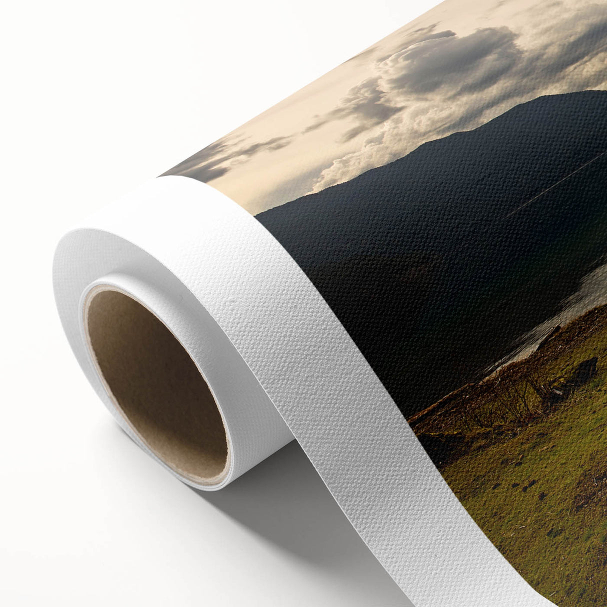 Art deco poster of Olympic National Park on rolled canvas, featuring muted green and blue tones, ideal for nursery wall art.