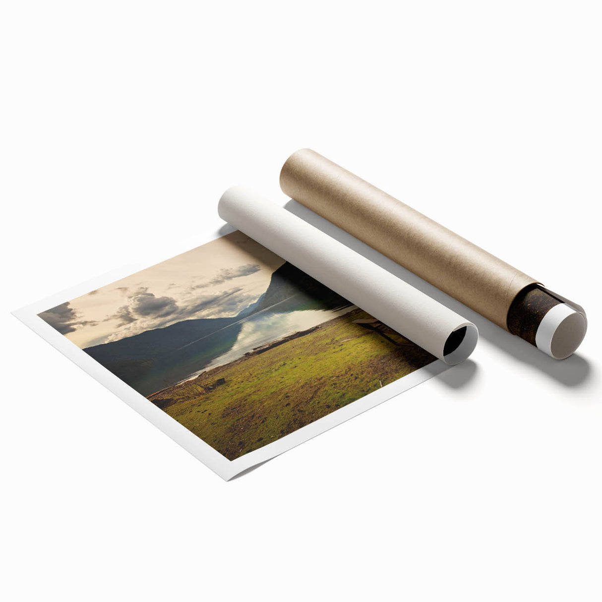 Extra large rolled print of Olympic National Park with lush greenery and muted earth tones.