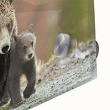 Acrylic print of the Grand Tetons in muted earth tones, ideal for dining room art in a mid-century modernist style.