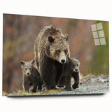 Acrylic print of Grand Tetons scenery in muted earth tones, ideal for bedroom or dining room art.