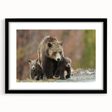 Colorful abstract art print of the Grand Tetons, featuring vibrant shades and textured details, framed in black.