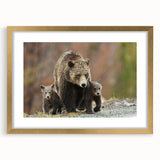 Extra large wall art featuring an abstract print of Wyoming's Grand Tetons in muted earth tones, framed in gold.