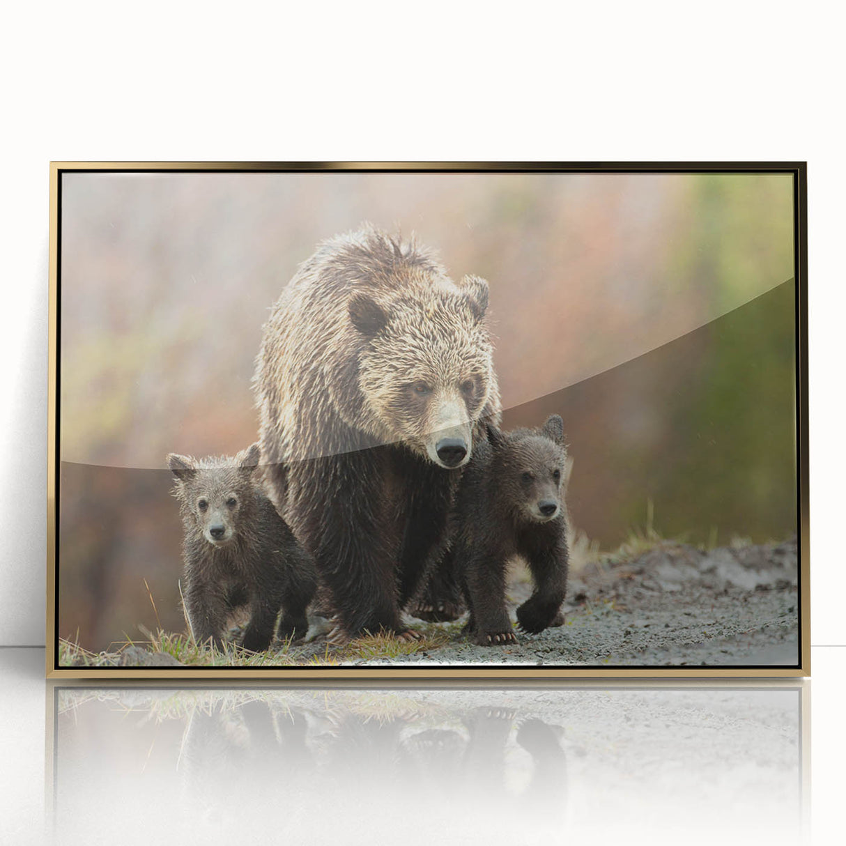 Large art print of the Grand Tetons in Wyoming featuring muted earth tones on a framed acrylic.