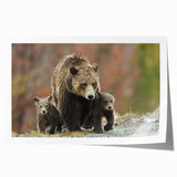 Rolled print of the Grand Tetons with vibrant green and blue tones, suitable for art wall dining room.