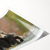 Extra large wall art of Grand Tetons landscape in muted earth tones on rolled print, suitable for large living room decor.