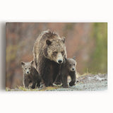 Black and white stretched canvas of the Grand Tetons, ideal for kitchen wall art.