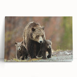 Black and white photo of the Grand Tetons on stretched canvas, ideal for kitchen wall art.