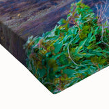 Large art depicting Yellowstone landscape in black and white tones on stretched canvas, suitable for bedroom wall decor.