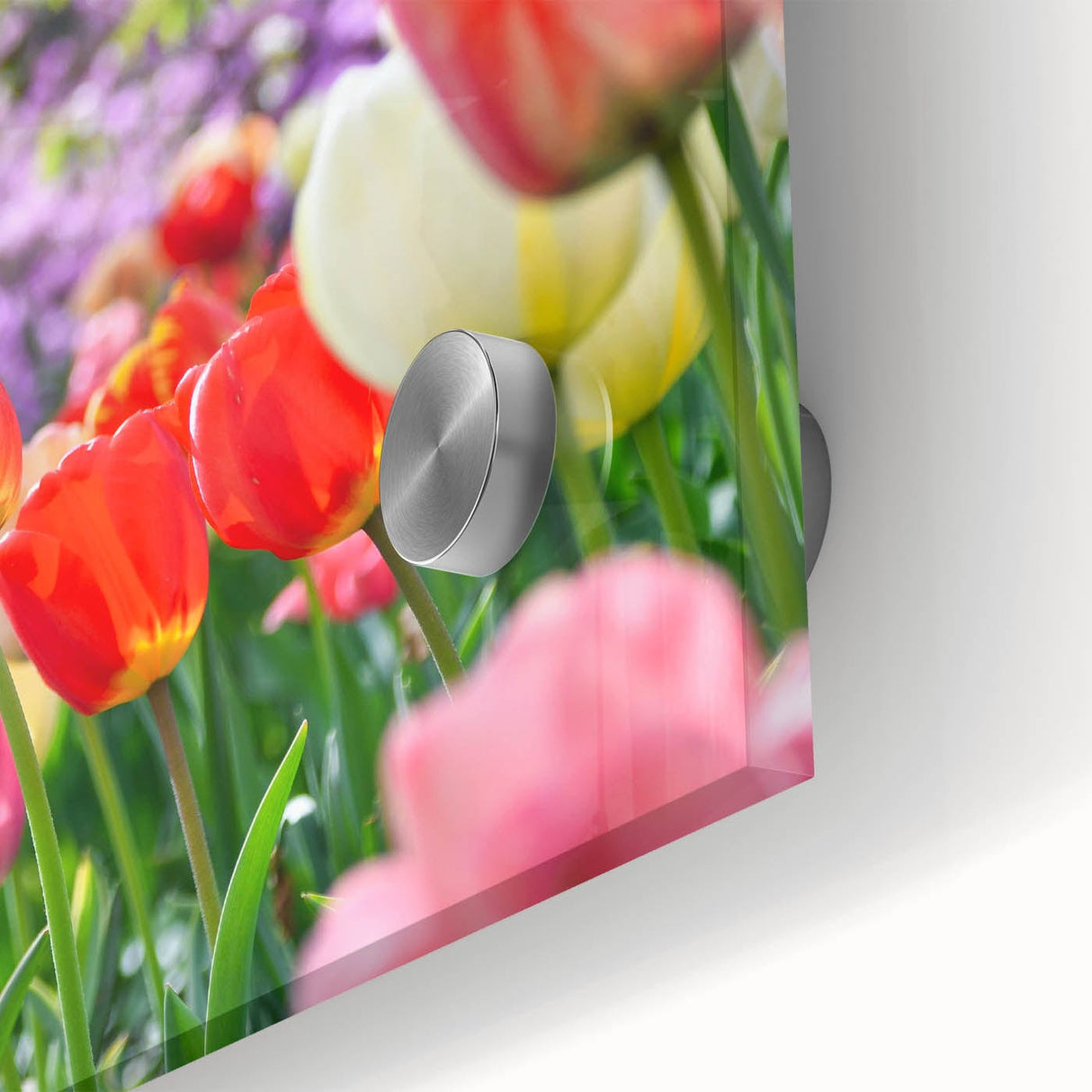 Large abstract wall art on acrylic glass featuring spring-themed colors in a mid-century modernist style.