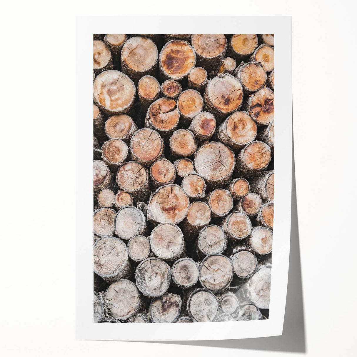 Rolled print of a winter floral scene in soft blue and white tones, suitable for art wall dining room or bathroom.
